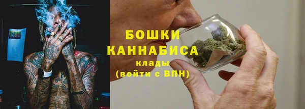 прущие грибы Аркадак