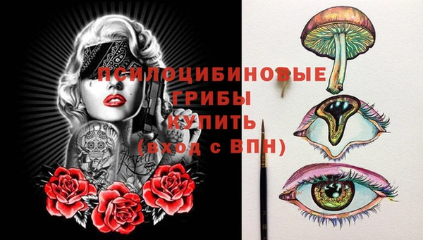 прущие грибы Аркадак