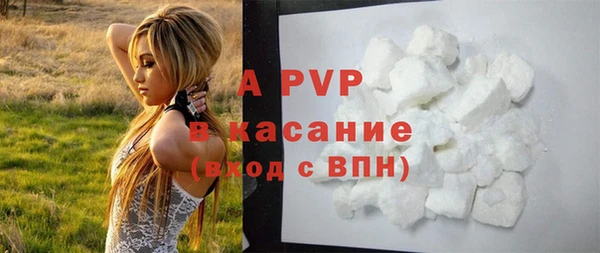 прущие грибы Аркадак