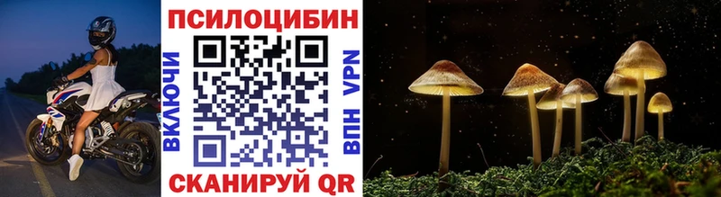 shop клад Чернушка Псилоцибиновые грибы MAGIC MUSHROOMS продажа наркотиков